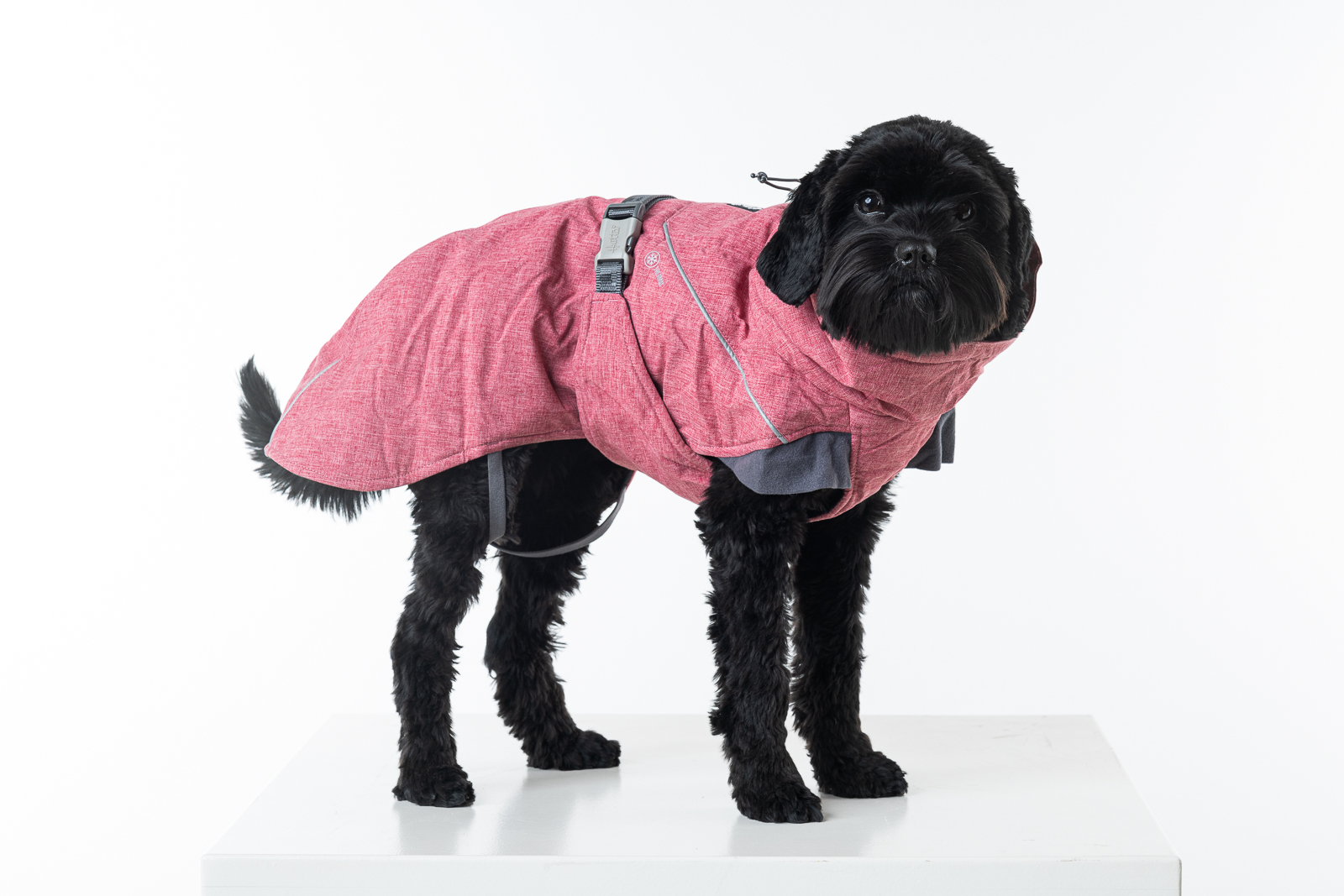 Snygga hundkläder